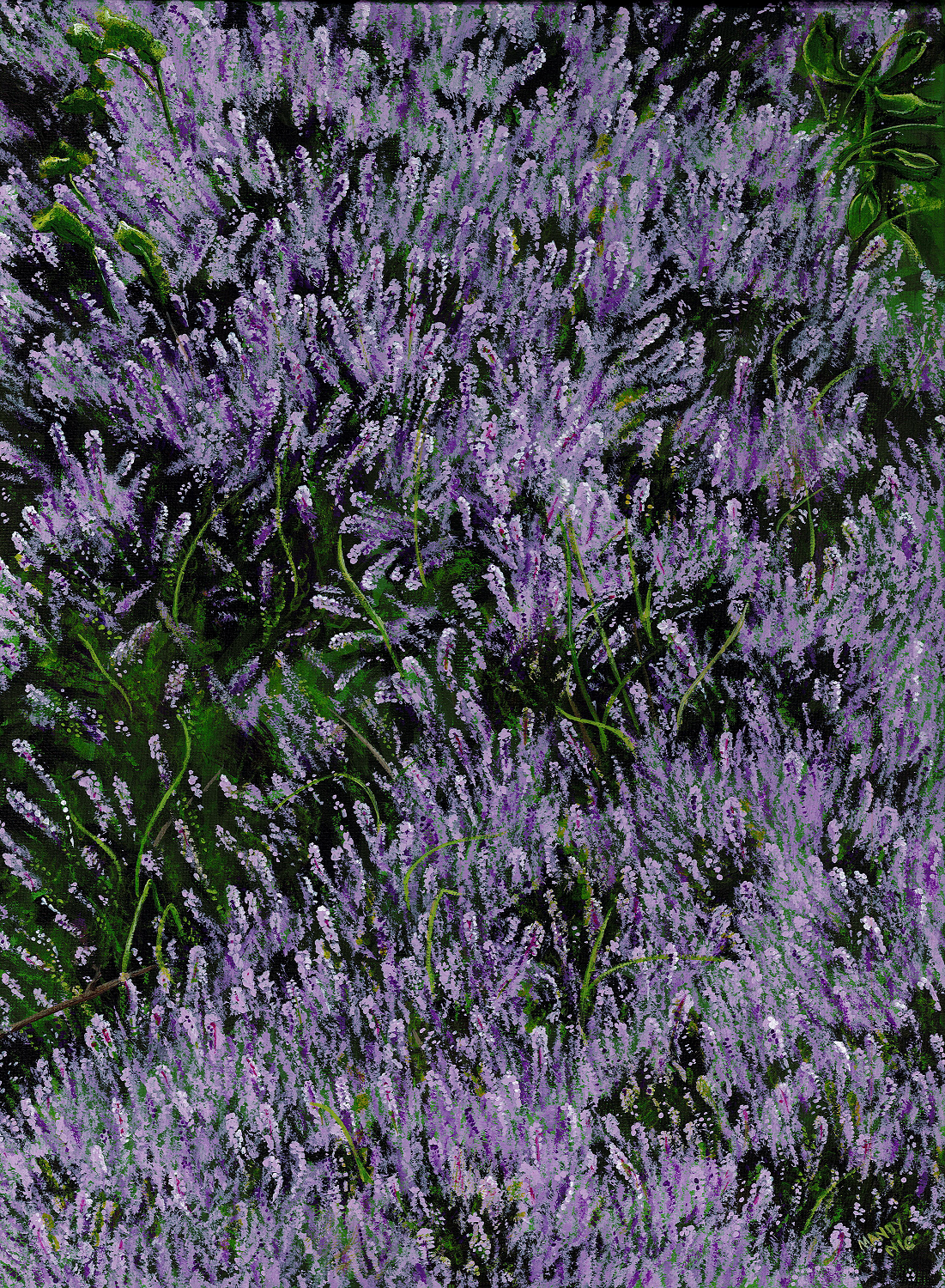 Culloden Moor - 1 - Heather